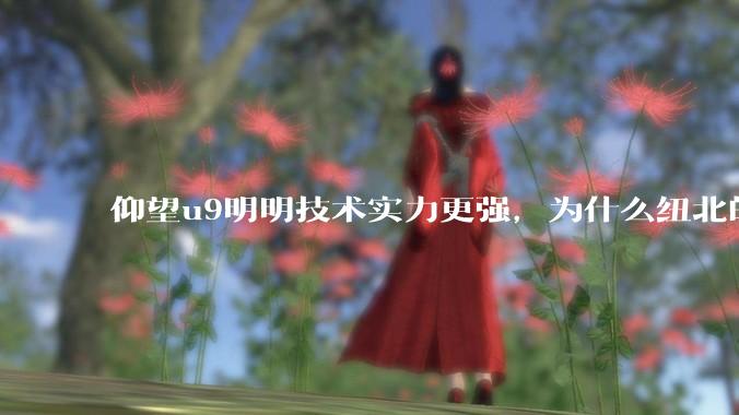 仰望u9明明技术实力更强，为什么纽北的成绩没有小米su7ultra好？