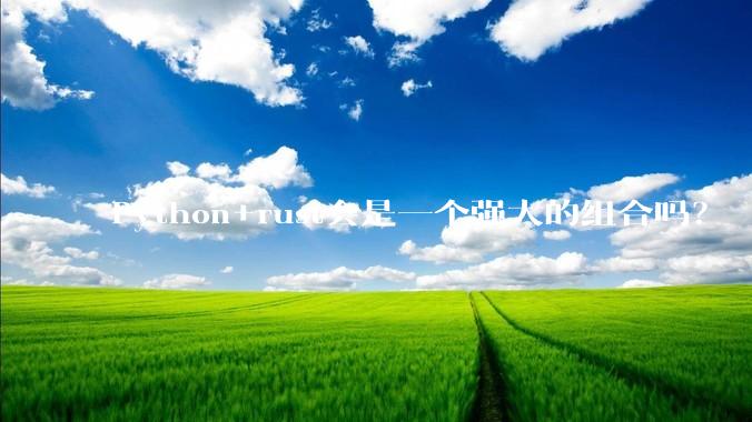 Python+rust会是一个强大的组合吗？