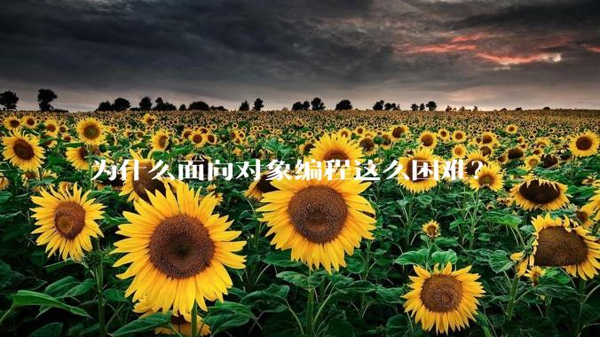 为什么面向对象编程这么困难？